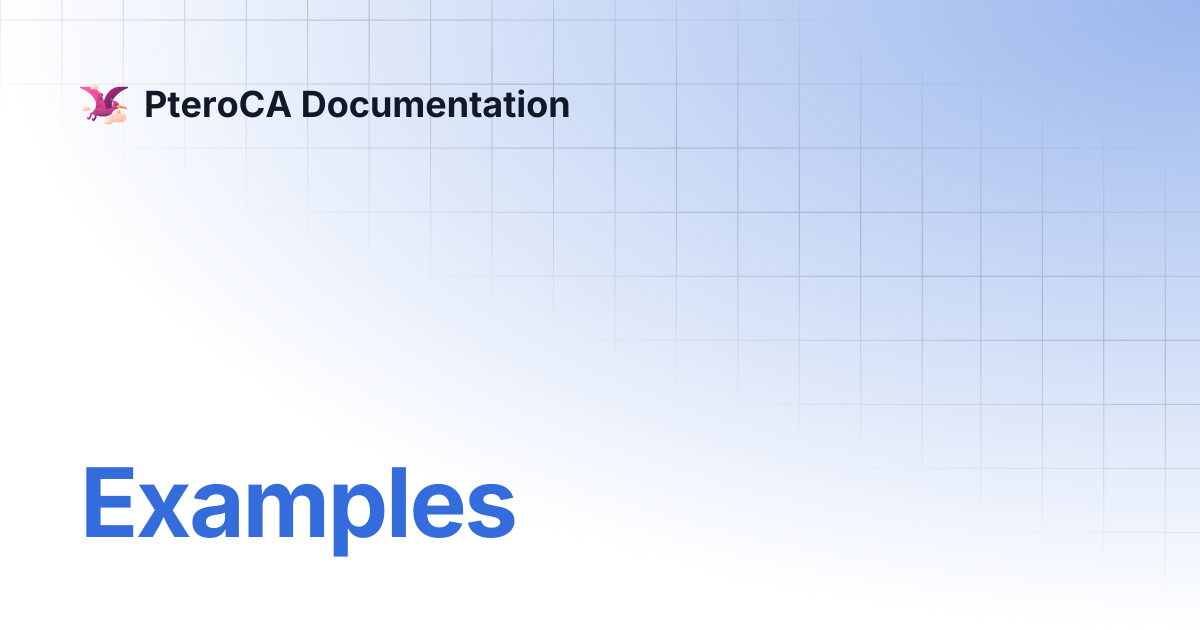 Examples | PteroCA Documentation